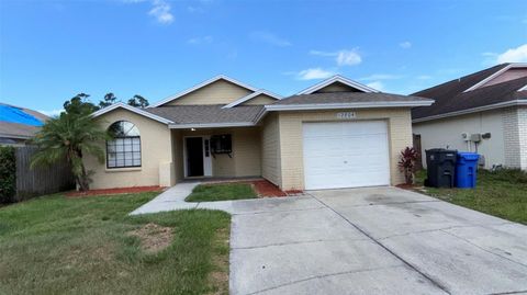 12804 MILLRIDGE FOREST STREET TAMPA FL 33624
