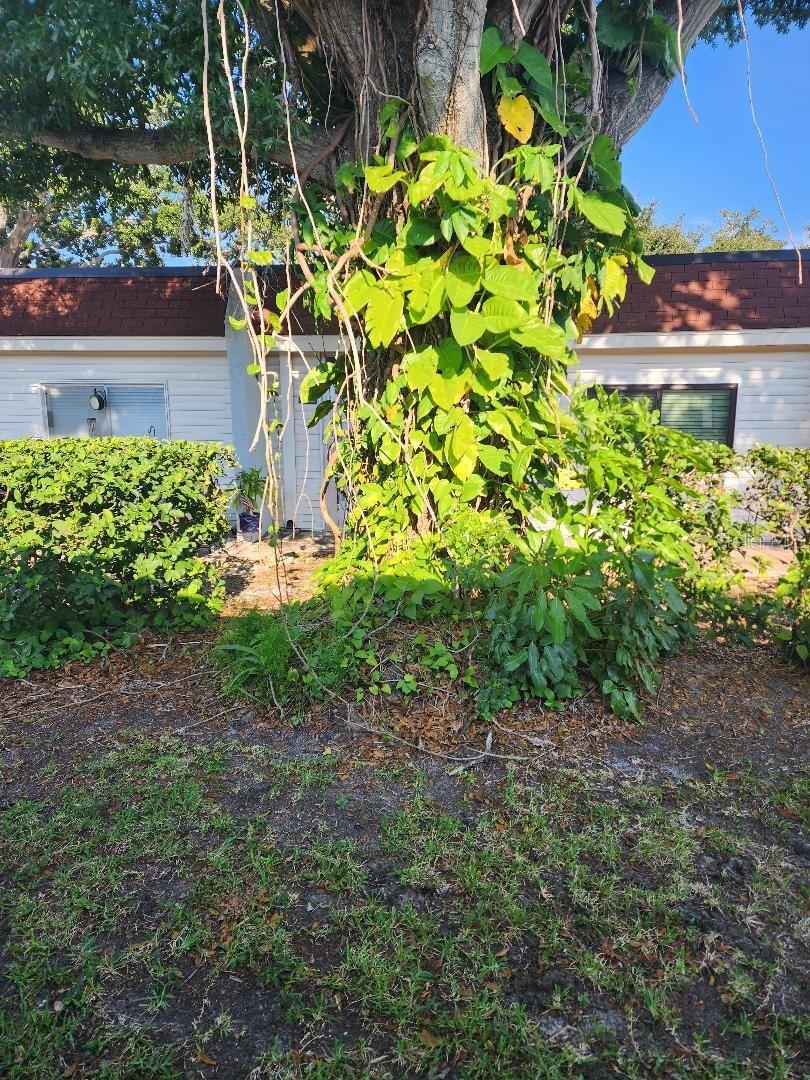 MISSION OAKS CONDO - Residential