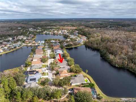 Photo of 10506 Sky Flower Court, Land O Lakes, FL 34638 (MLS # TB8380892)