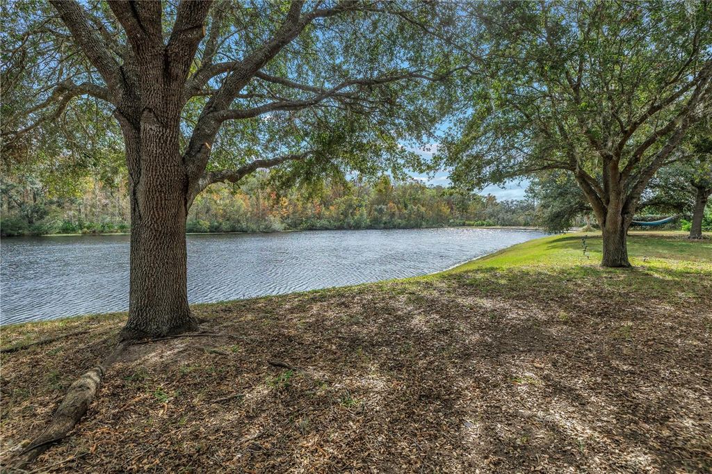 Photo of 10506 Sky Flower Court, Land O Lakes, FL 34638 (MLS # TB8380892)
