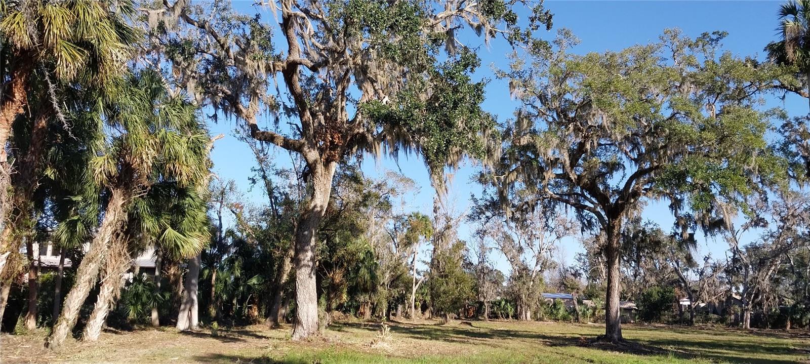 CARMANS CASA DEL RIO - Land