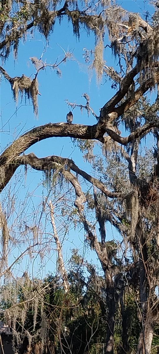 CARMANS CASA DEL RIO - Land