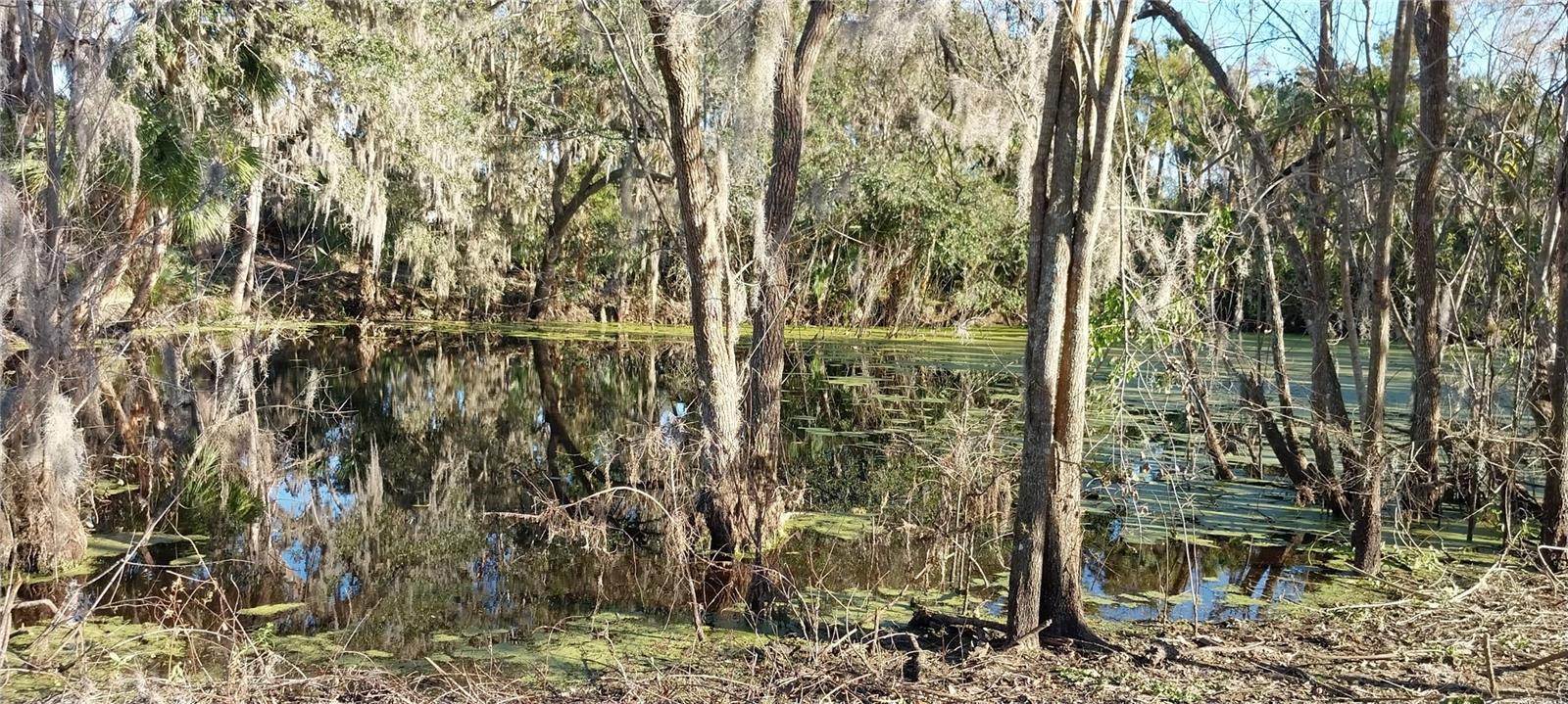 CARMANS CASA DEL RIO - Land