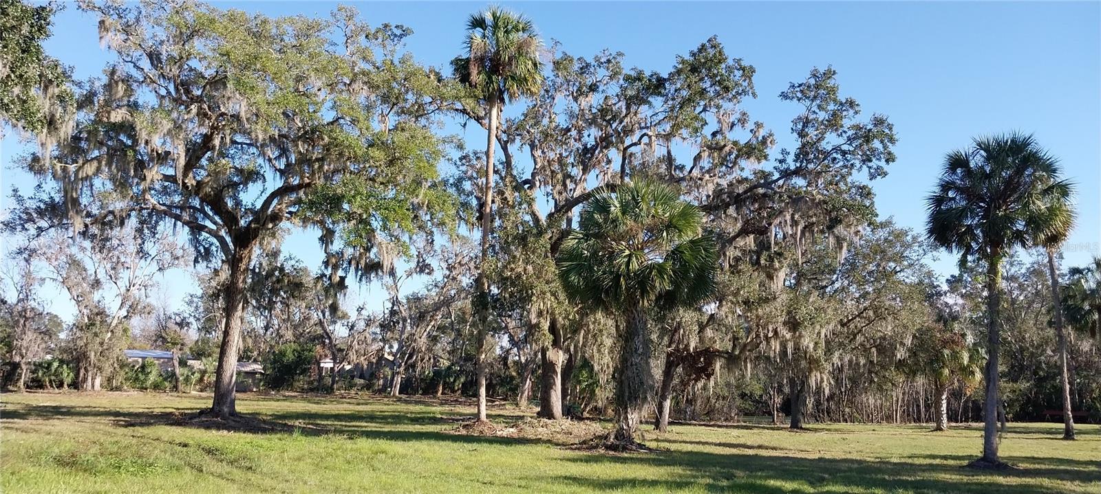 CARMANS CASA DEL RIO - Land