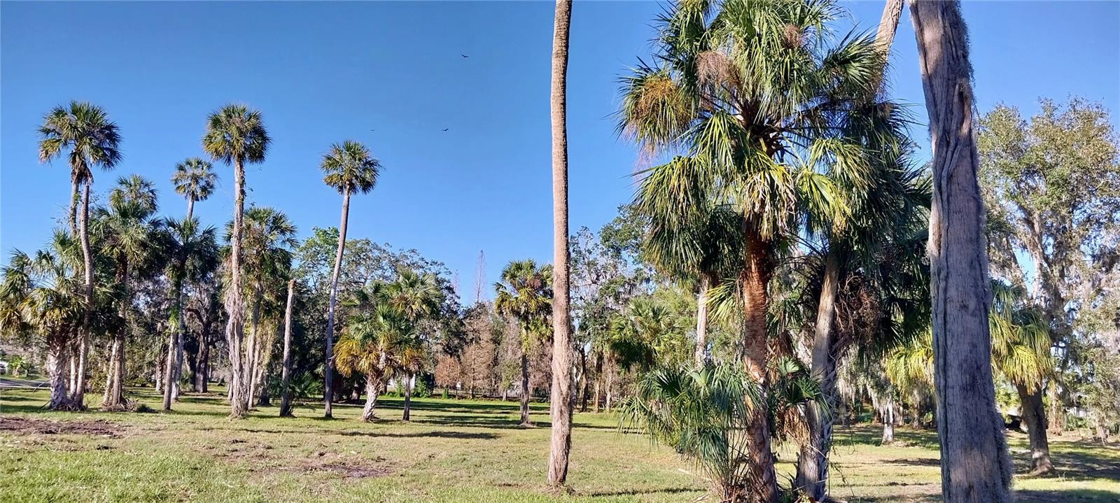 CARMANS CASA DEL RIO - Land