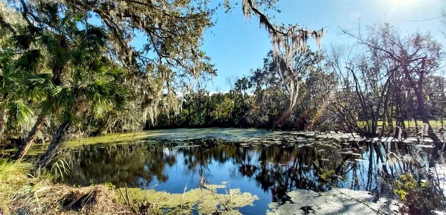 Once-in-a-lifetime opportunity! Tucked away on a quiet road, you will discover these two parcels, totaling 3.77 acres. Unique opportunity to find an improved lot, ready to build your dream home. Land has been cleared, surveyed, and septic tank approved. A crushed asphalt driveway takes you to the cleared future building site. Unwind after a busy day next to the pond, surrounded by nature, birds chirping. A true birdwatcher paradise! No HOA or CDD. Bring your RV and boat. Alafia River access is only 7 mins away, at the Riverview Park and Civic Center. The land is in the centrally located Riverview area. Peacefully, secluded but only minutes from downtown Tampa, hospitals, shopping, dining, entertainment, schools. Zoned RSC-2-Res-SF-Conventional-2-uts/acre, (folio# 075152-0080, 075152-0055) Contact the county for specific use questions.