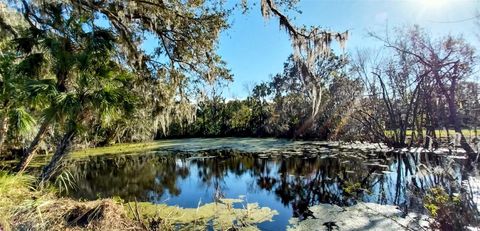 11105 WINN ROAD RIVERVIEW FL 33569