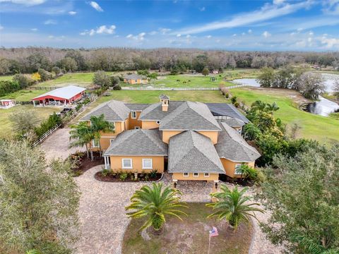11430 TROTTING DOWN DRIVE ODESSA FL 33556