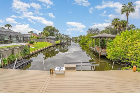 A home in MERRITT ISLAND