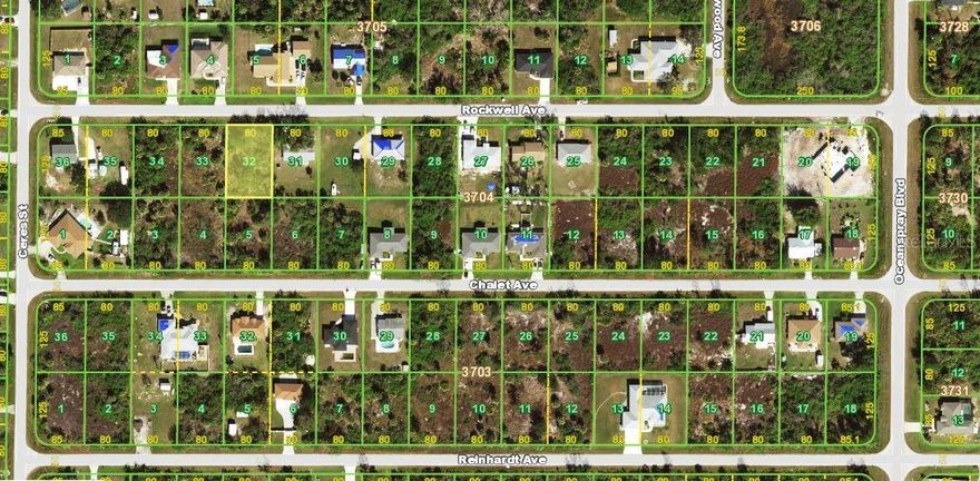 OPPORTUNITY AWAITS. Here is your chance to own a piece of paradise! Here is the one you have been looking for! Buyer is responsible for performing all due diligence including, but not limited to, availability of utilities, trees, scrub-jays, wetlands, and tortoise restrictions and lot dimensions.