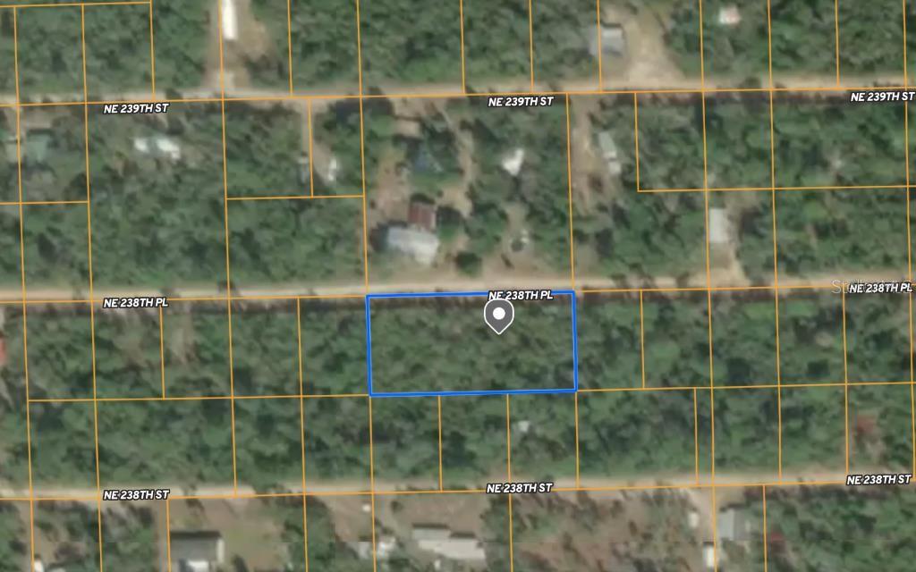 Vacant parcel that in Hog Valley, zoned R4, allowing a mobile or site-built home. Property is on NE 238th PL. Owner also owns .21 acre 2 parcels down from this one on 238th PL and would consider selling both. Would make a great place for hunt camp, weekend retreat, or permanent residence! Near the Ocklawaha River, KOA, & miles of ATV trail heads to explore in the Ocala National Forest.