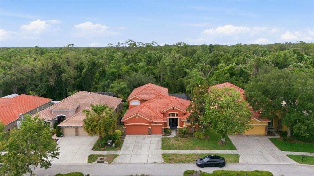 Photo of 11639 Belle Haven Drive, New Port Richey, FL 34654 (MLS # TB8526987)