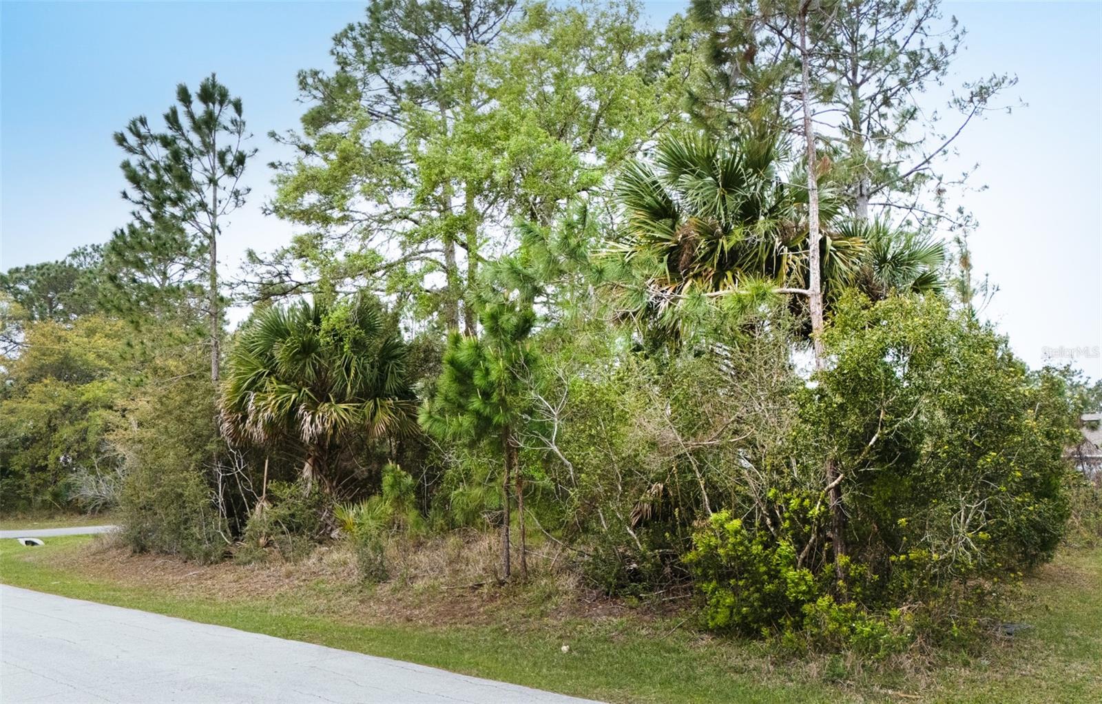 PALM COAST SEC 24 - Land