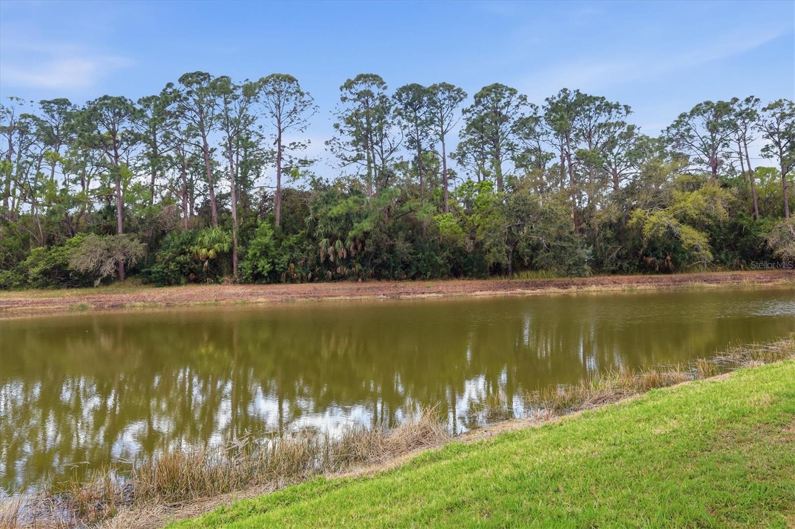 LAKEWOOD RANCH COUNTRY CLUB - Residential