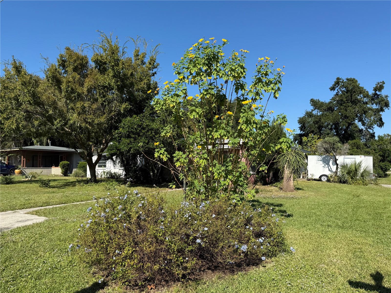 LEESBURG SUNSET TERRACE - Residential