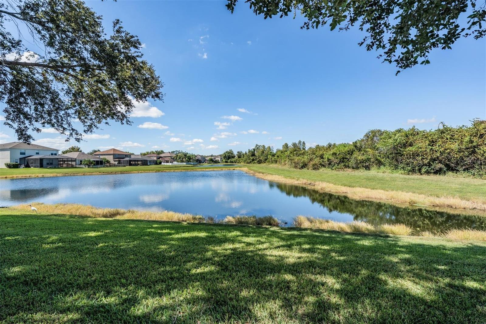 ASBEL ESTATES - Residential