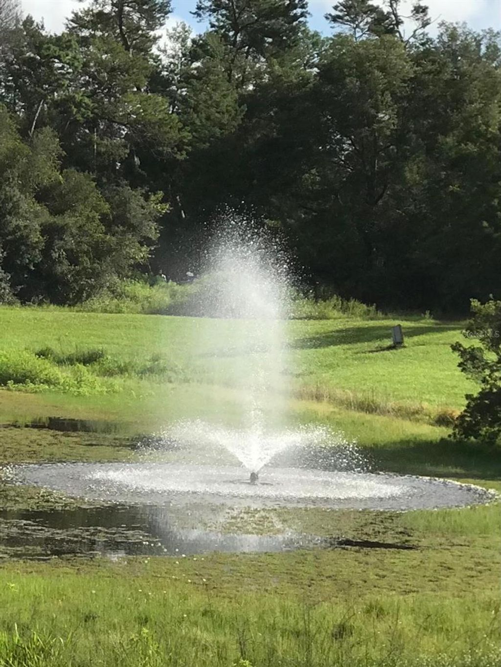 Photo of 3331 SW 153rd Place Road, Ocala, FL 34473 (MLS # O6385981)