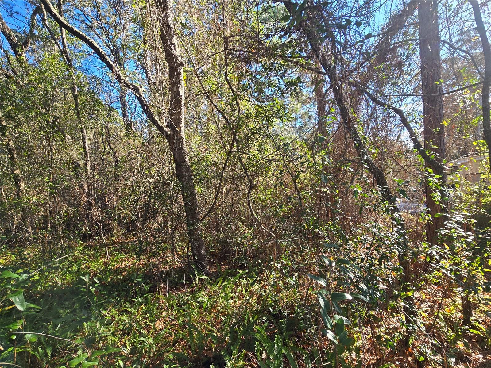 INVERNESS HIGHLANDS UNIT 02 - Land