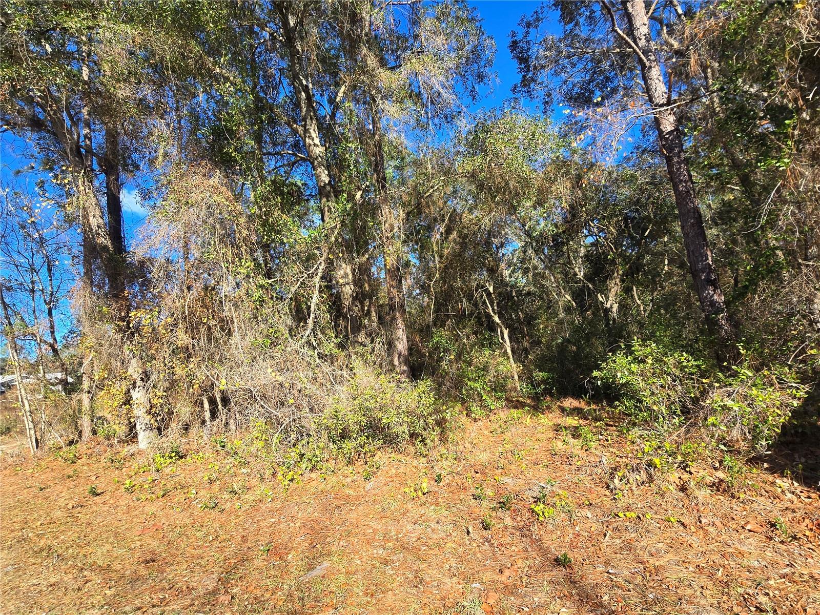 INVERNESS HIGHLANDS UNIT 02 - Land