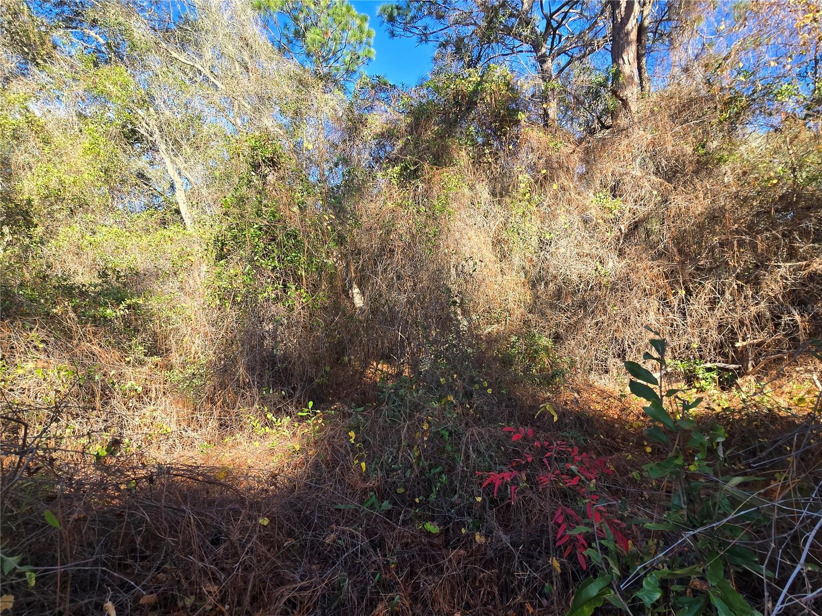 INVERNESS HIGHLANDS UNIT 02 - Land