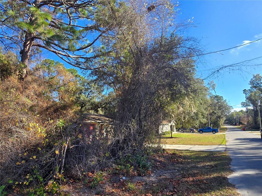 Photo of 3257 E Kennedy Street, Inverness, FL 34453 (MLS # OM716226)