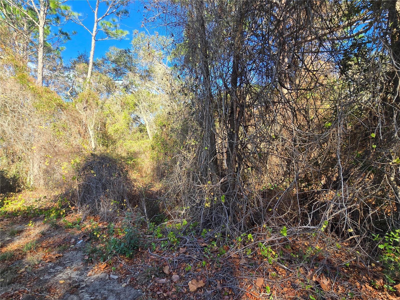 INVERNESS HIGHLANDS UNIT 02 - Land