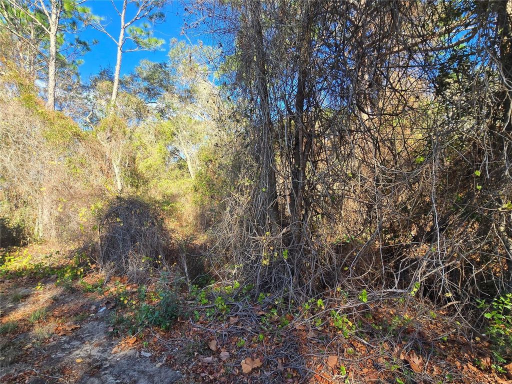 Photo of 3257 E Kennedy Street, Inverness, FL 34453 (MLS # OM716226)