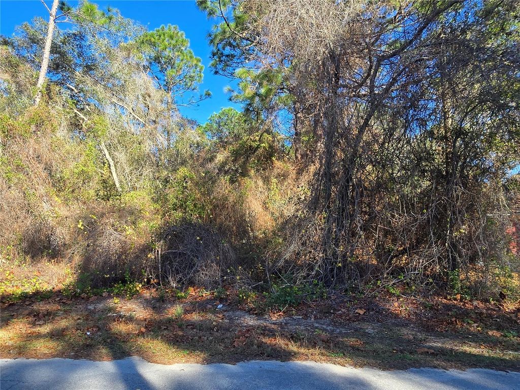 Photo of 3257 E Kennedy Street, Inverness, FL 34453 (MLS # OM716226)