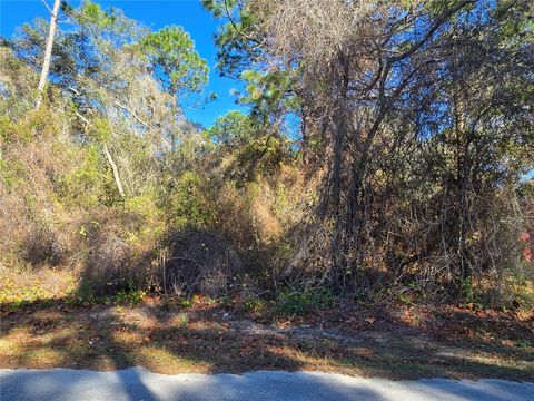 3257 E KENNEDY STREET INVERNESS FL 34453