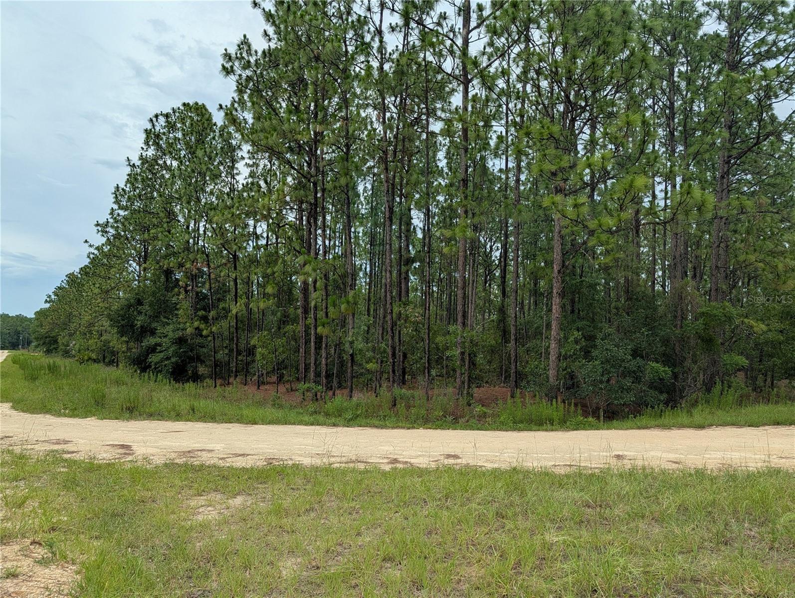 SW TBD SW 125TH COURT ROAD