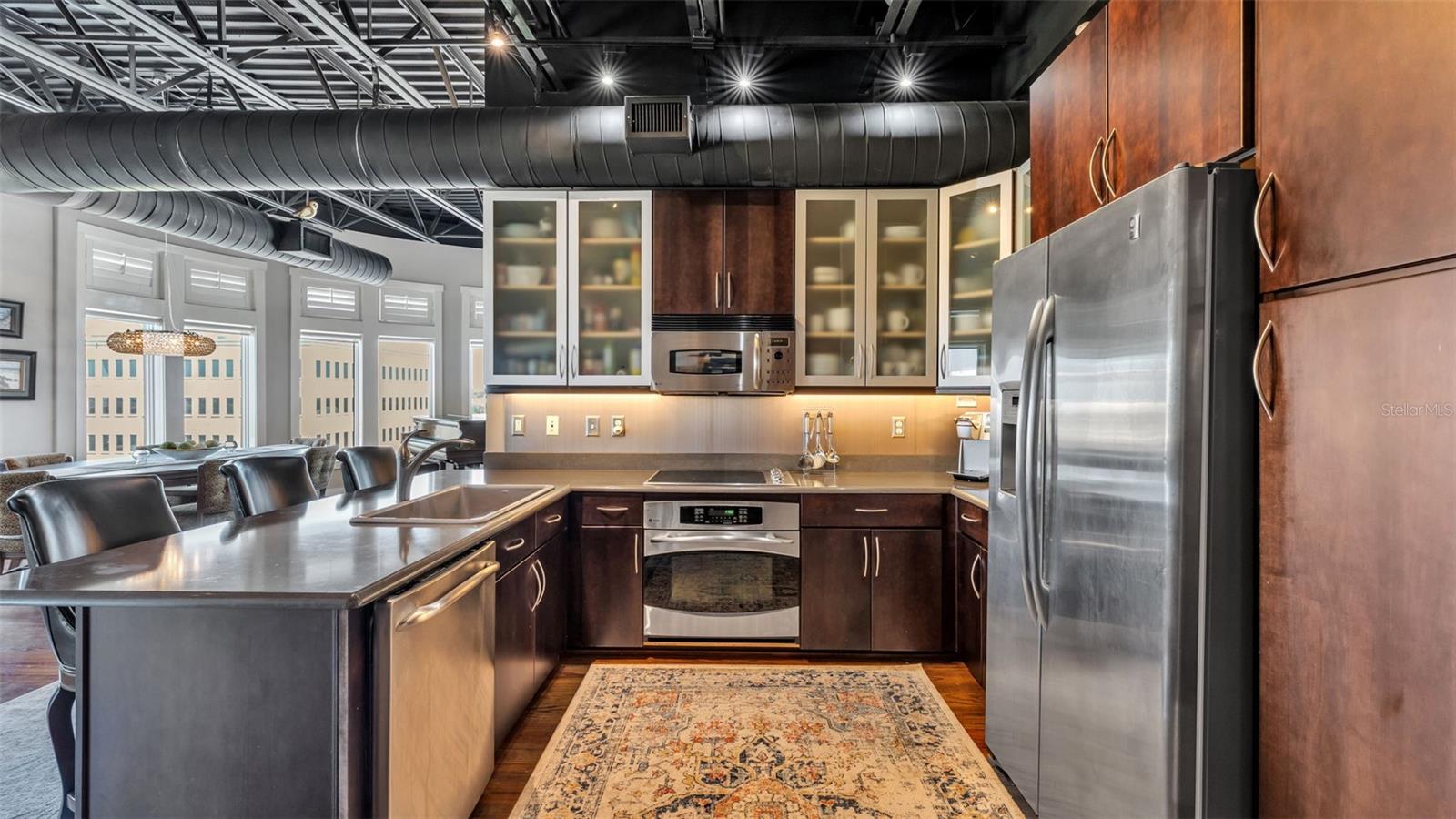 LOFTS ON PARK CONDO - Residential