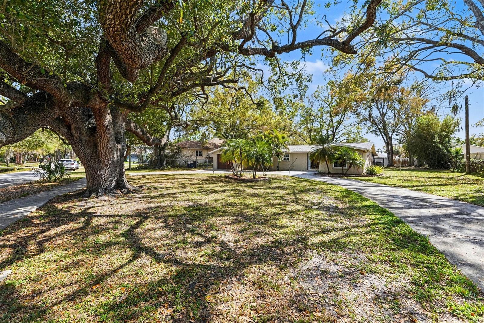 OLDSMAR REV MAP - Residential