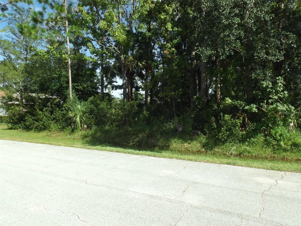 Photo of 176 Frontier Drive, Palm Coast, FL 32137 (MLS # FC321347)