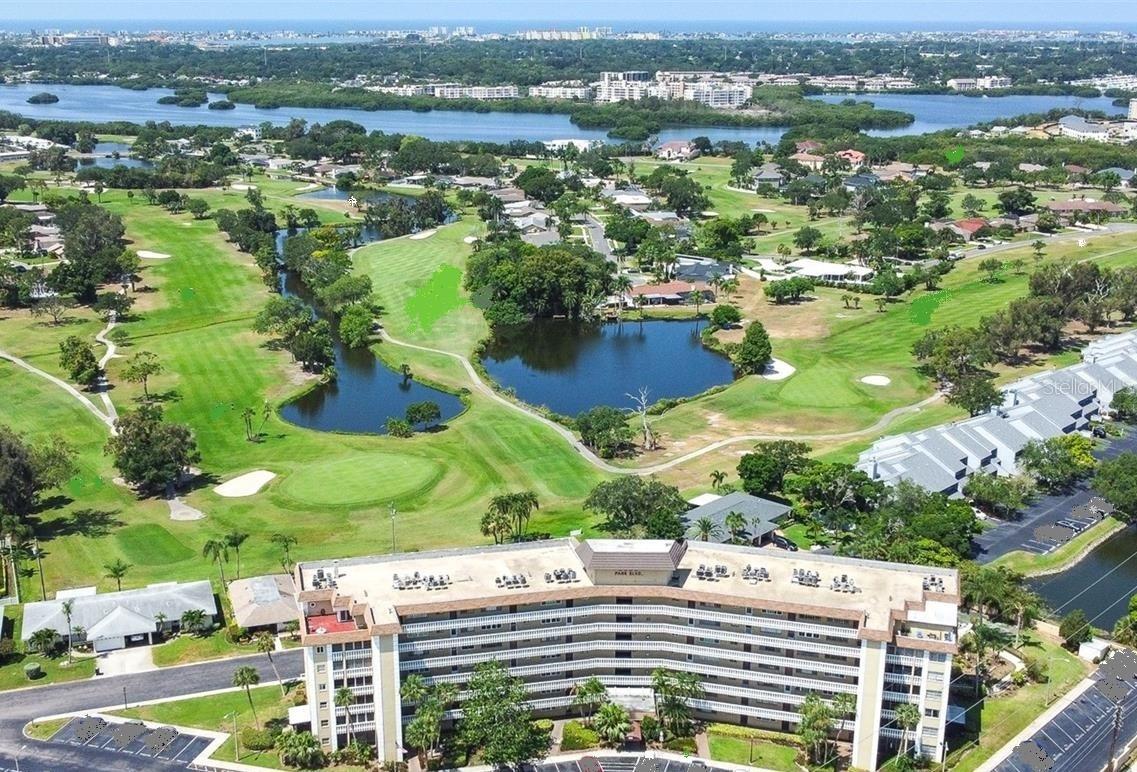 View SEMINOLE, FL 33777 condo