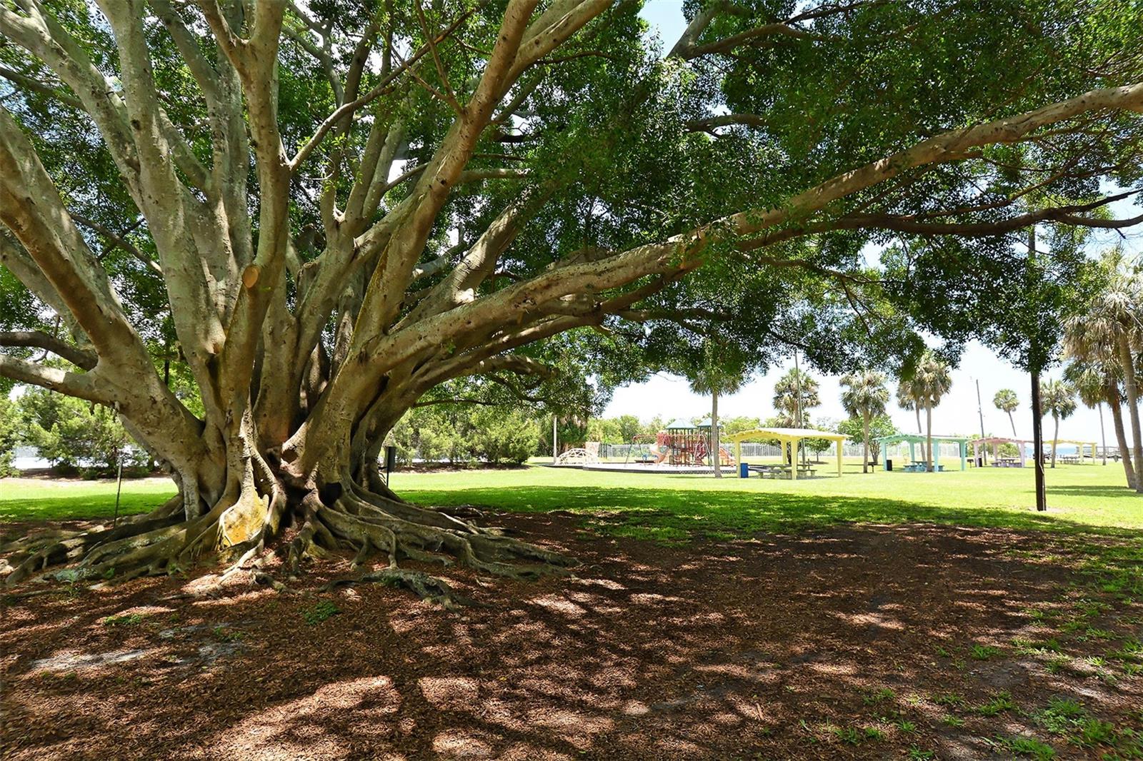 BAYSHORE VILLAGE I - Residential