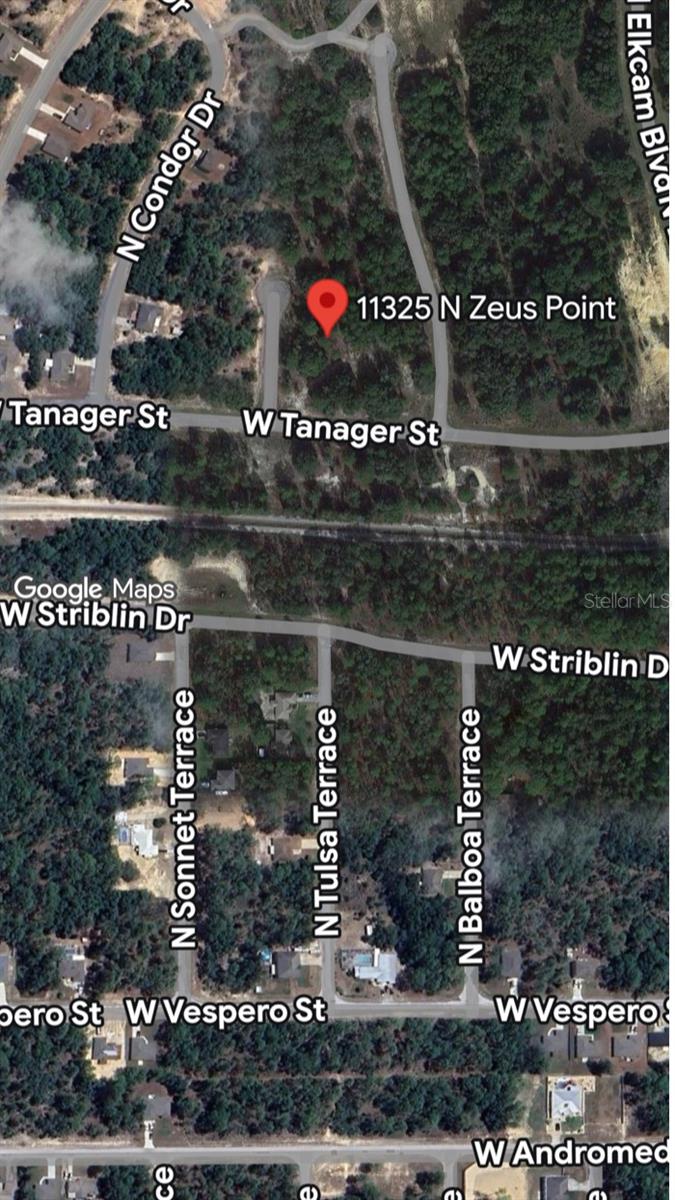 13500 sf lot, ready to build your home on this lot. buyer agent need to verify all information with Citrus county