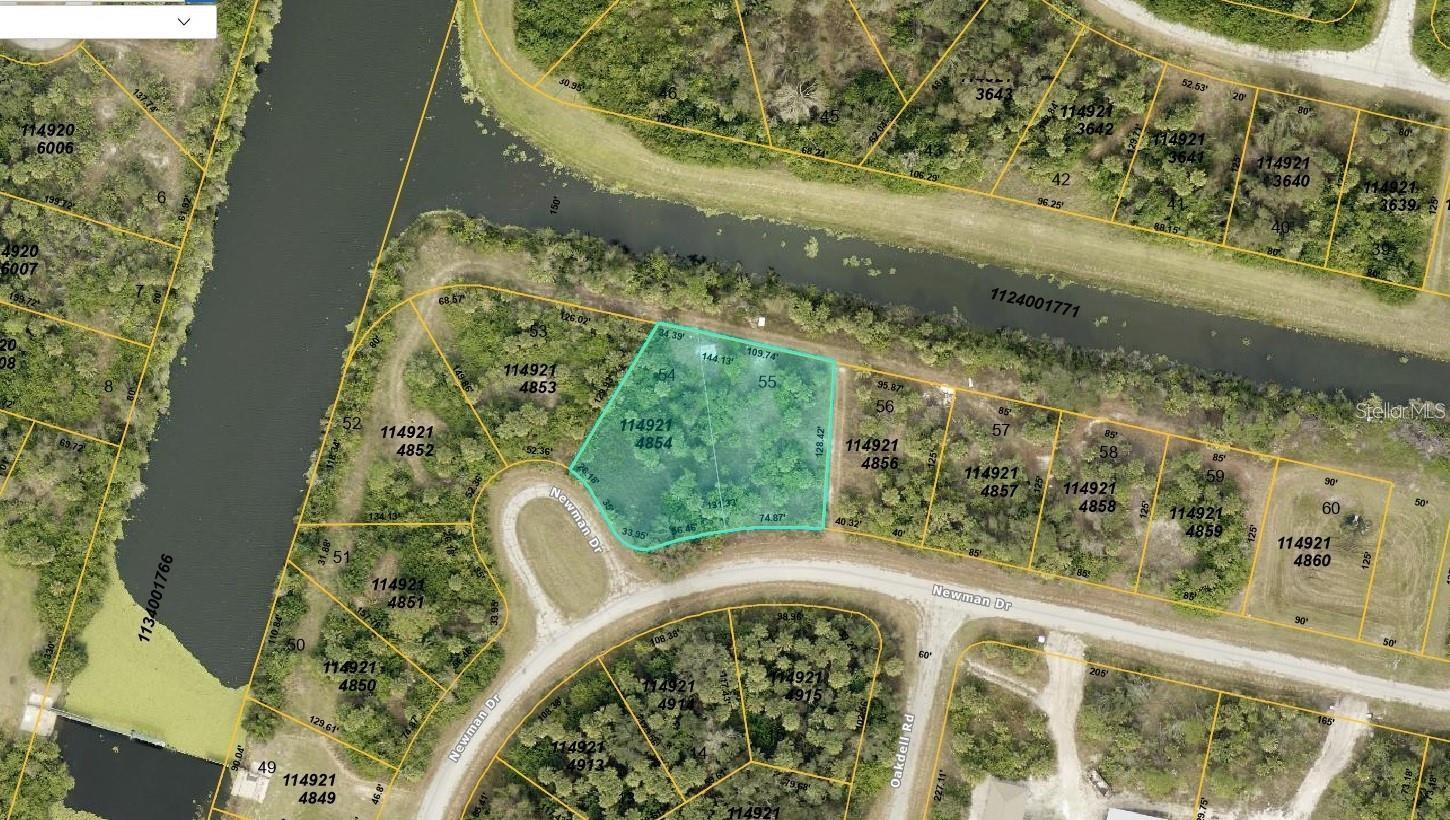 NEWMAN LOT 55 DRIVE