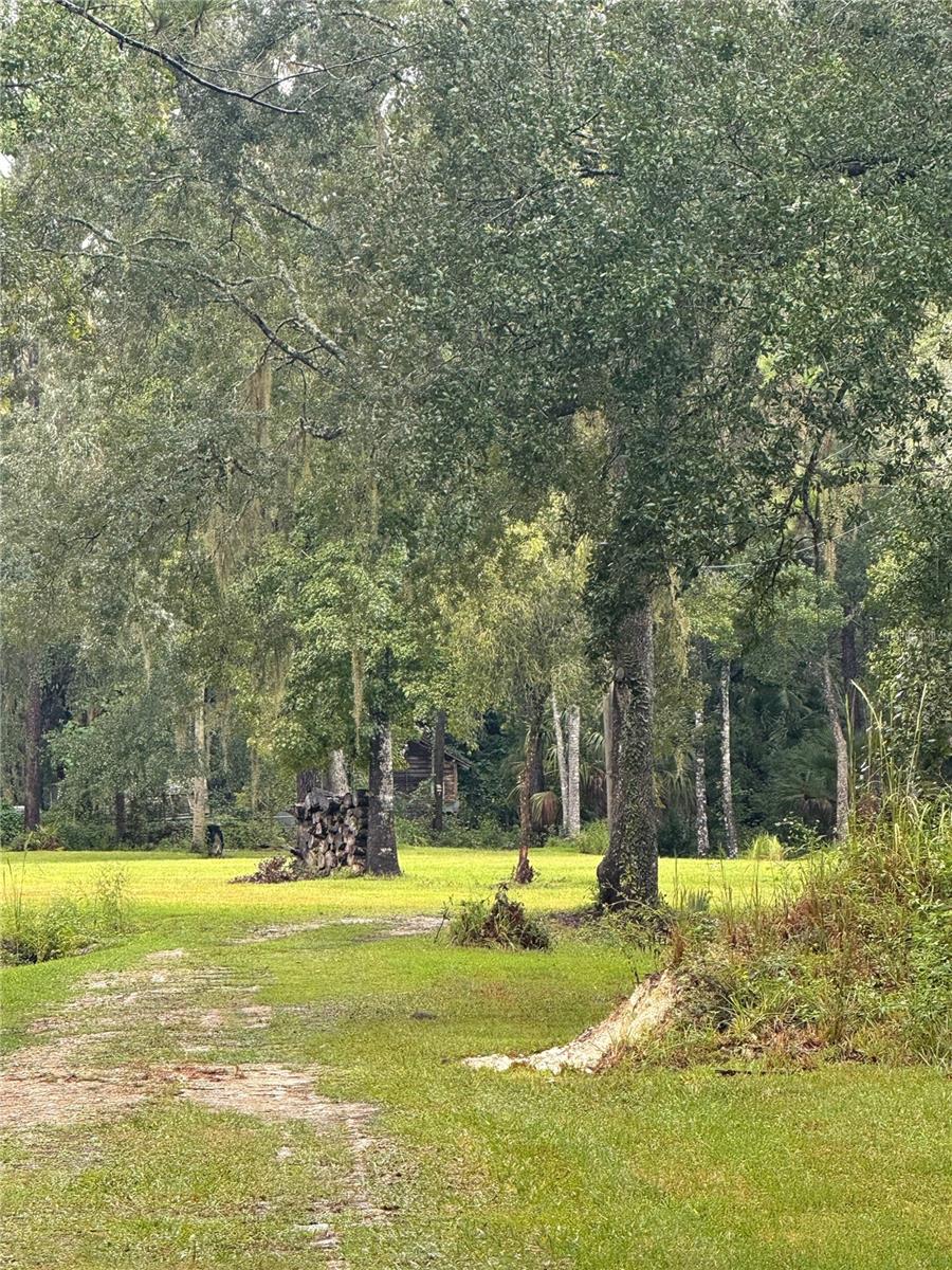 Photo of 10379 NE Highway 314, Silver Springs, FL 34488 (MLS # OM733754)