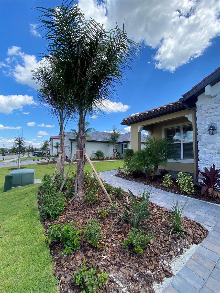 ARBOR GRANDE - Residential Lease