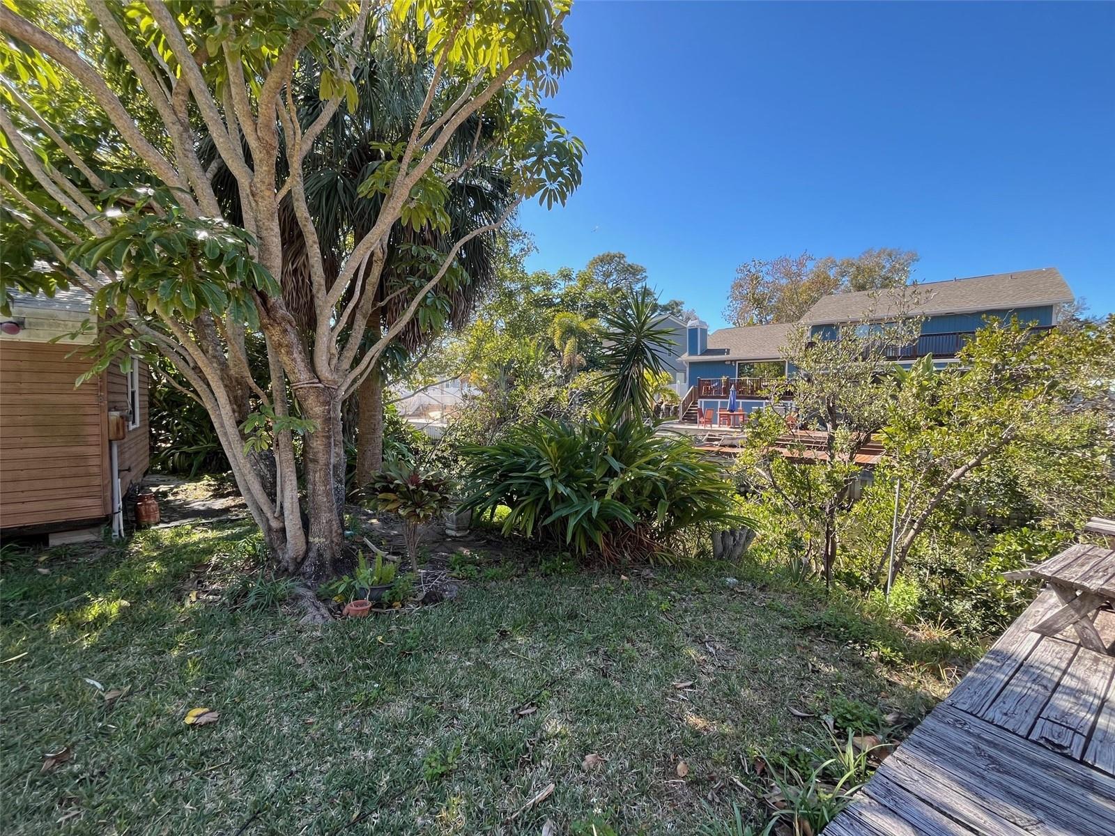 Lot 96 BLUE JAY CIRCLE