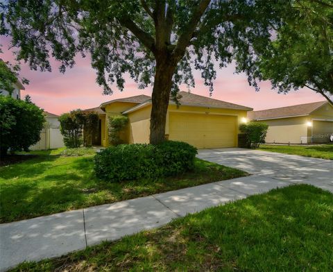9551 MAXSON DRIVE LAND O LAKES FL 34638