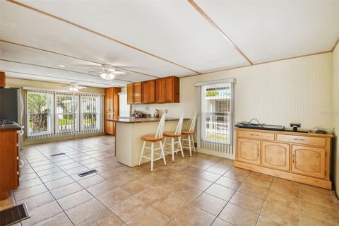 A home in DADE CITY