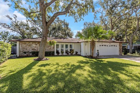 14251 PUFFIN COURT CLEARWATER FL 33762