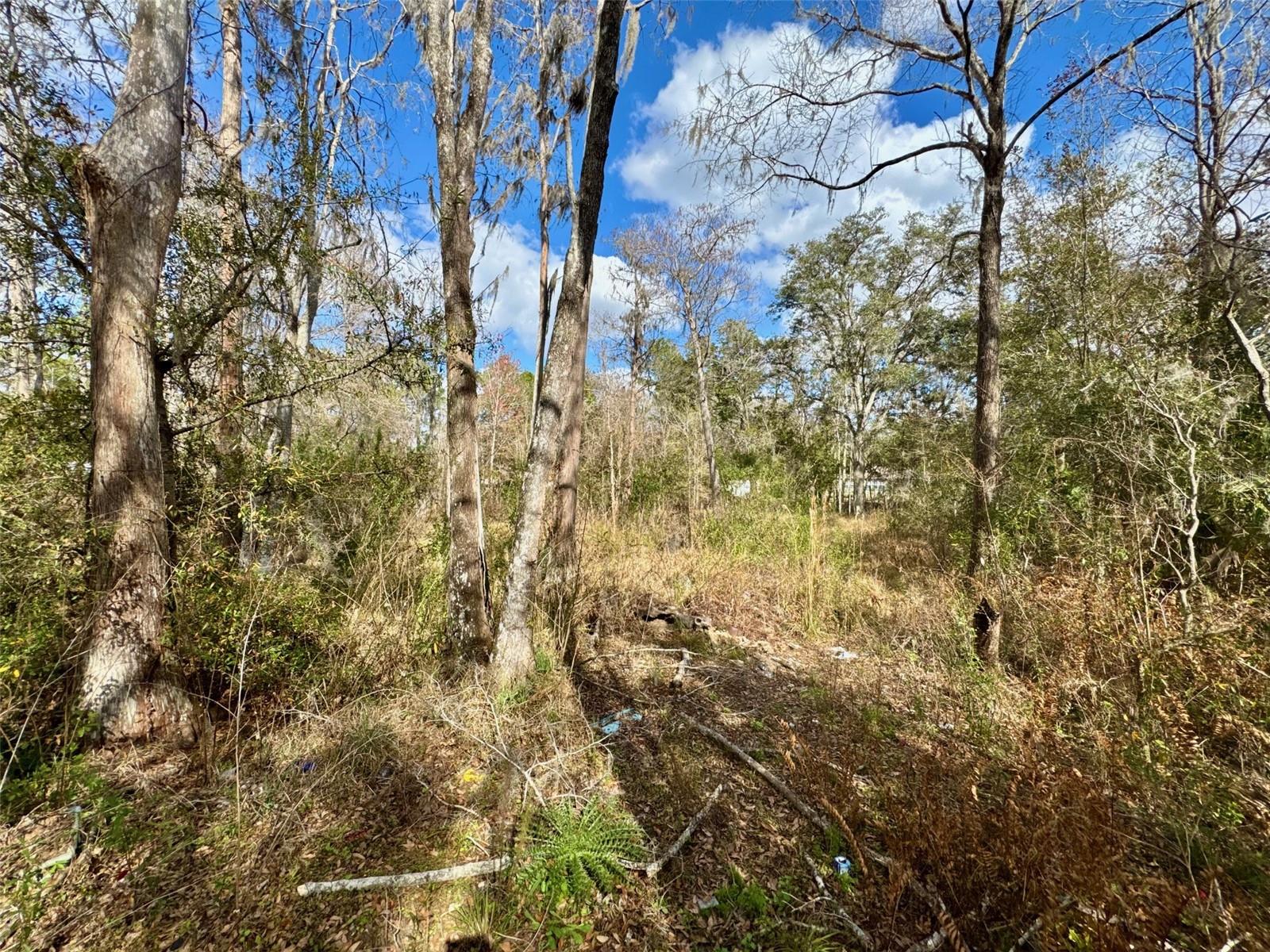 FOX RUN - Residential