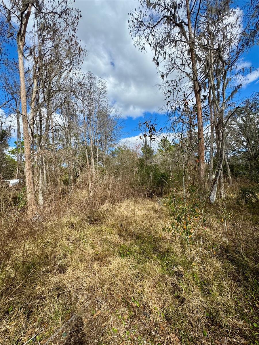 FOX RUN - Residential