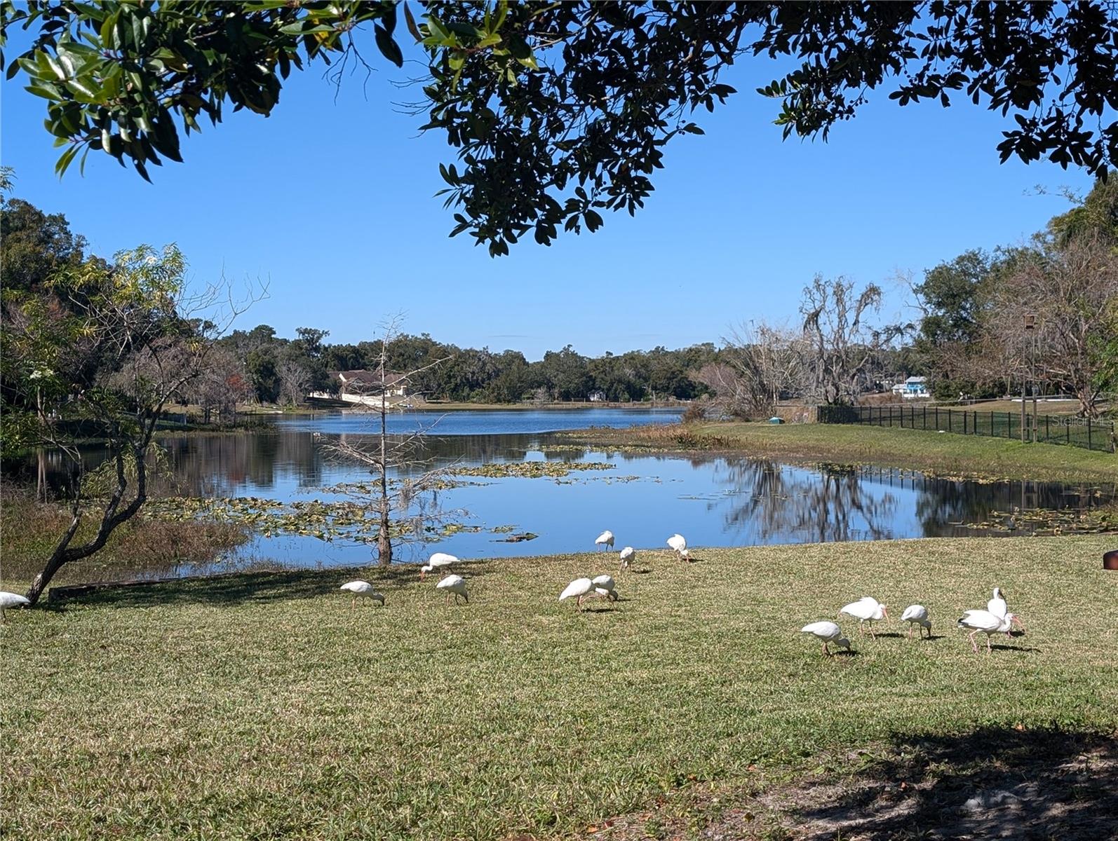 SANLANDO - Residential