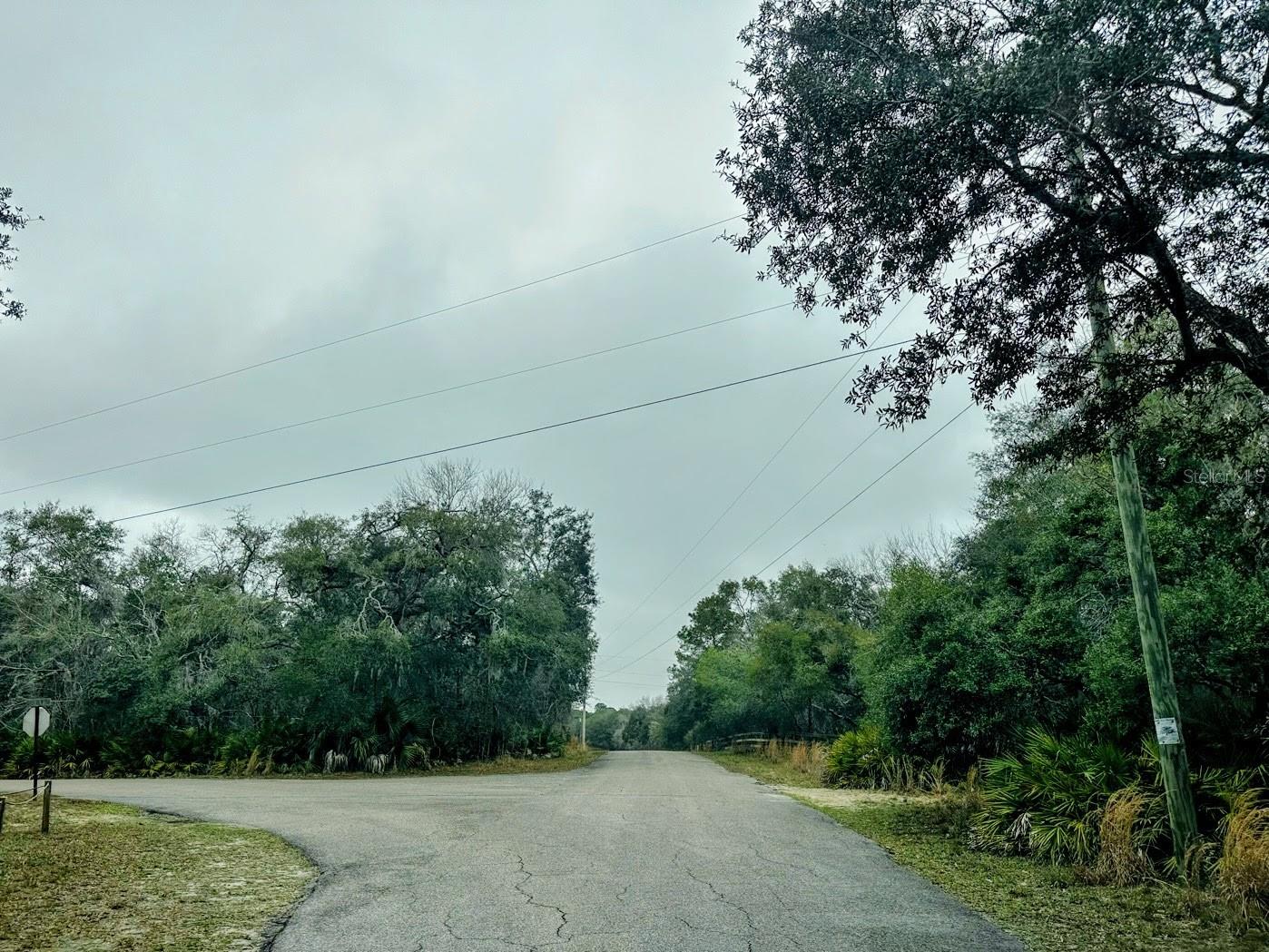 SUWANNEE RIVER SPRINGS SUBDIVISION - Land