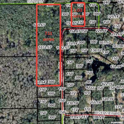 TBD OFF RIVERVIEW ROAD FANNING SPRINGS FL 32693