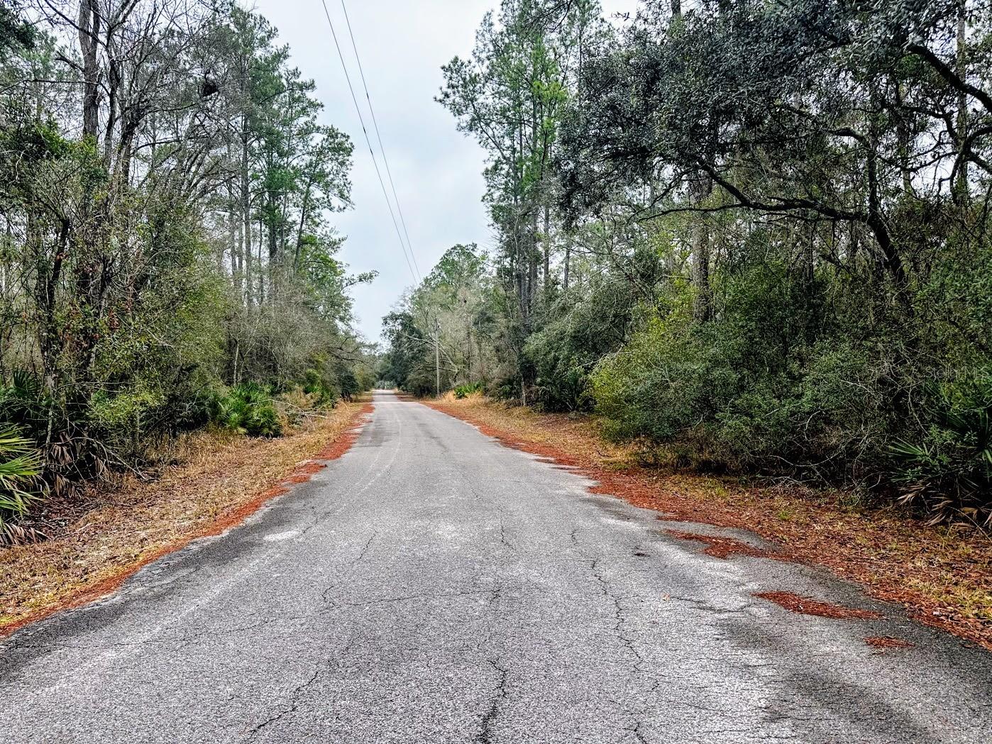 SUWANNEE RIVER SPRINGS SUBDIVISION - Land