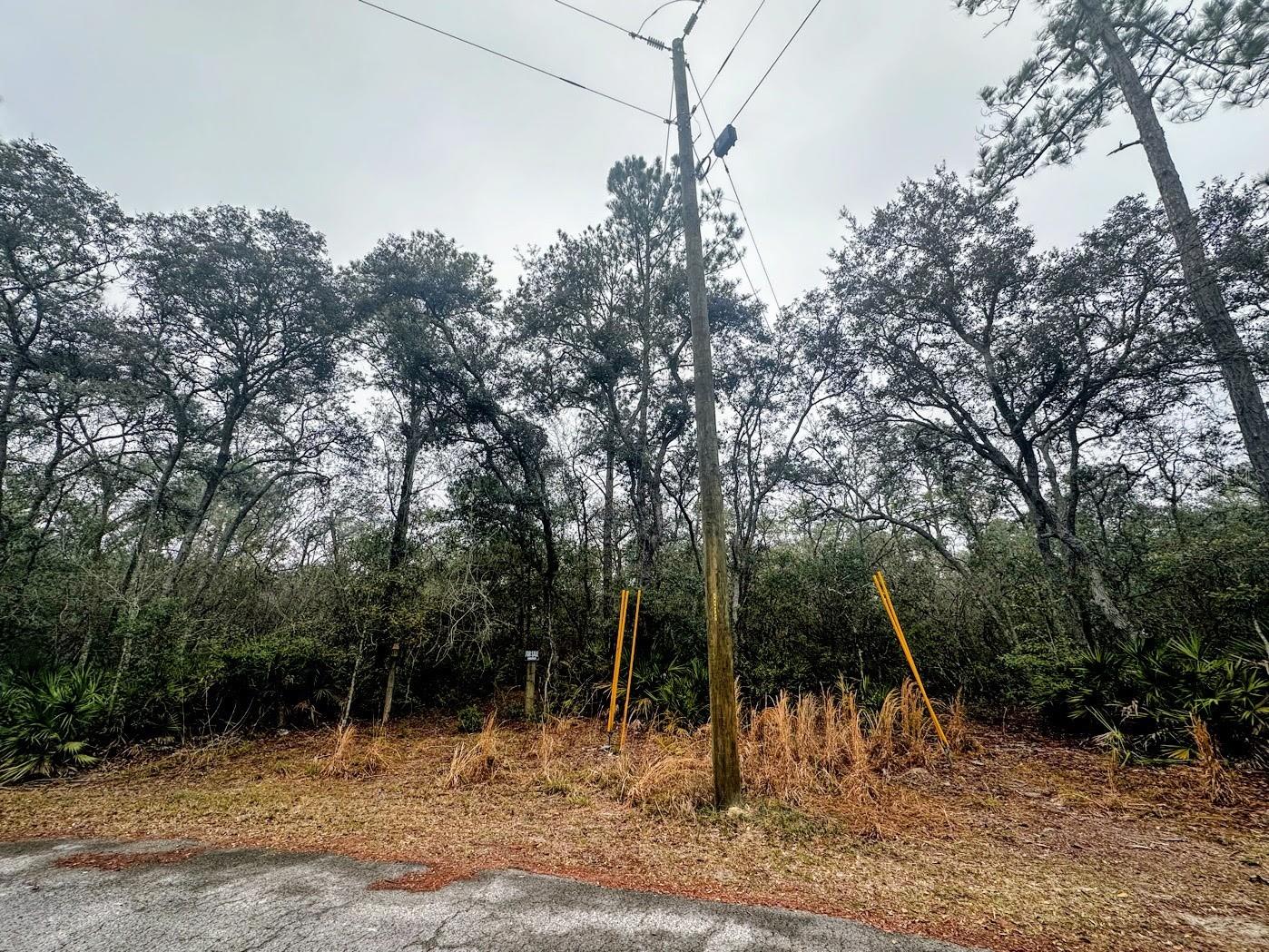 SUWANNEE RIVER SPRINGS SUBDIVISION - Land